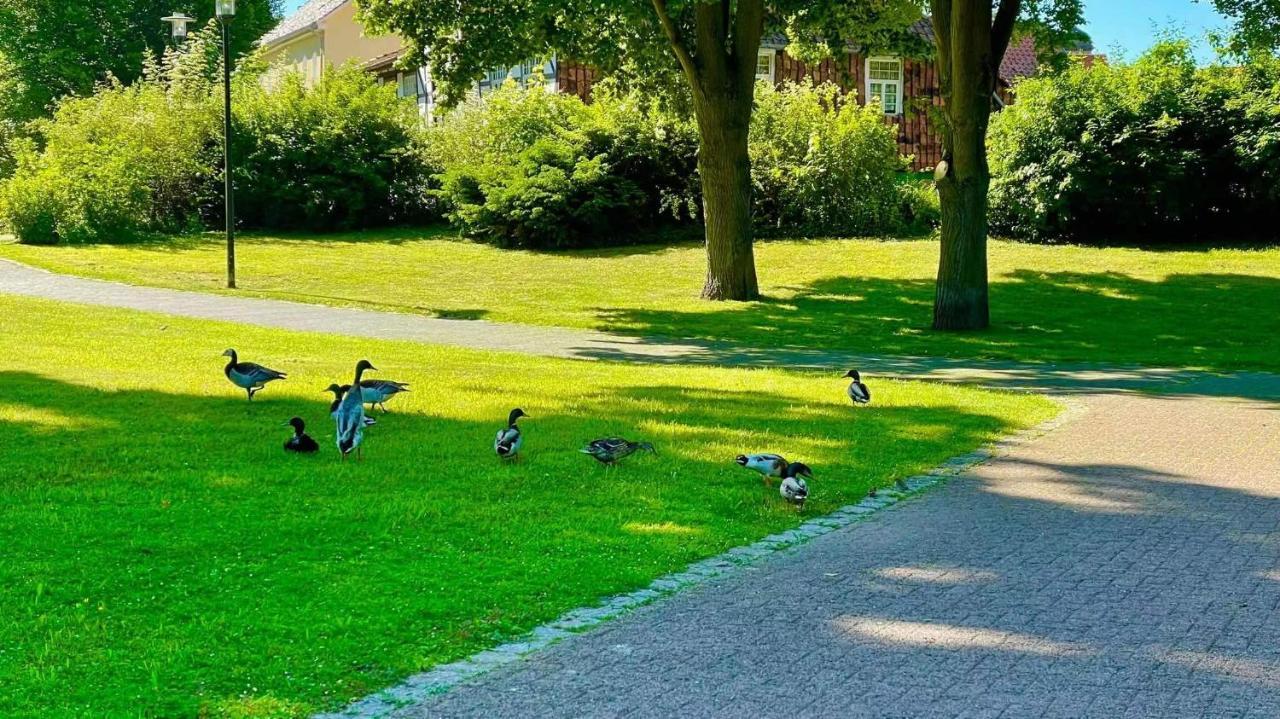 Gaestehaus Ambiente Am Kurpark Bad Sooden-Allendorf Exteriör bild